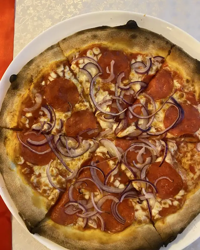 Pizza z salami i czerwoną cebulą na białym talerzu